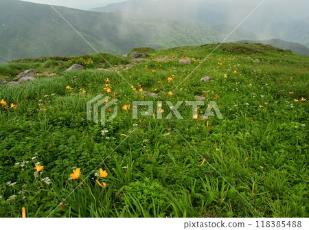 Flower fields of Mt. Ubagatake in summer 118385488