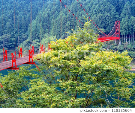 Zao bridge that can fully enjoy forest bathing (a red suspension bridge over Aikawa Dam of Arita River) / Wakayama Prefecture Zao bridge that can fully enjoy forest bathing (a red suspension bridge over Aikawa Dam of Arita River) / Wakayama Prefecture 118385604