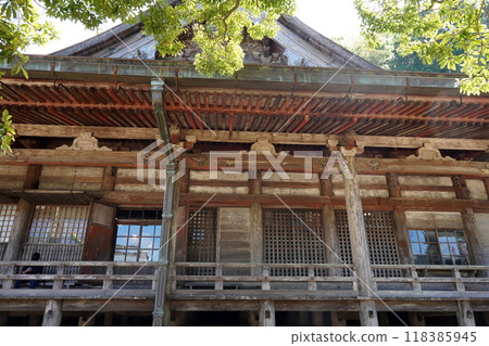 和歌山Nachiyama Aokogiji 和歌山Nachiyama Aokogiji 118385945