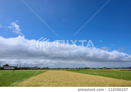 The boundary between the clouds and the blue sky 118386207