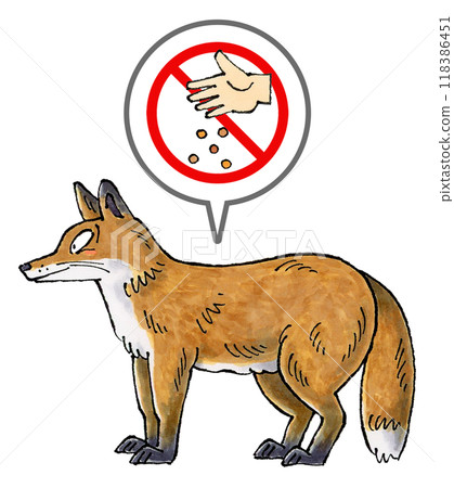 No feeding foxes sign No feeding foxes sign 118386451