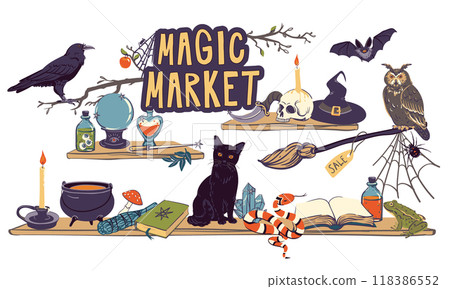 Showcase of a magic shop. Shelves with witchcraft and witchcraft goods, cauldron, grimoire, potion, elixir, skull, magic ball, and hat. Familiars for the sorcerer cat, snake, owl, toad, spider. Vector 118386552