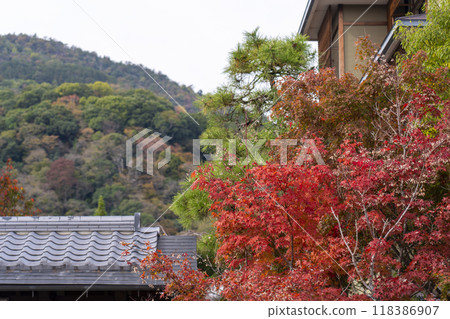 Kyoto Arashiyama Onsen Kadensho and autumn leaves 118386907