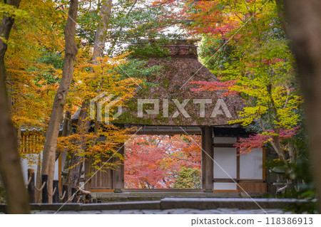 Honen-in Temple Sanmon covered in autumn leaves in Kyoto in autumn Honen-in Temple Sanmon covered in autumn leaves in Kyoto in autumn 118386913