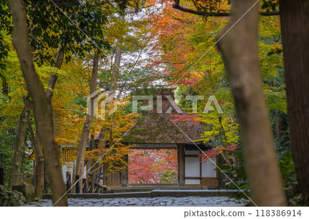 Honen-in Temple Sanmon covered in autumn leaves in Kyoto in autumn 118386914