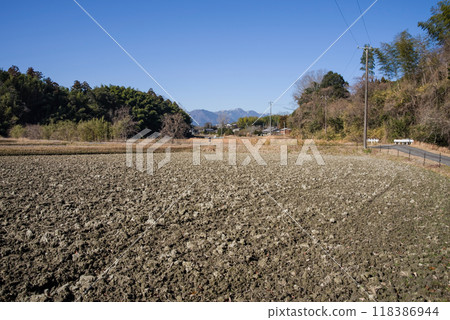 冬季稻田 冬季稻田 118386944