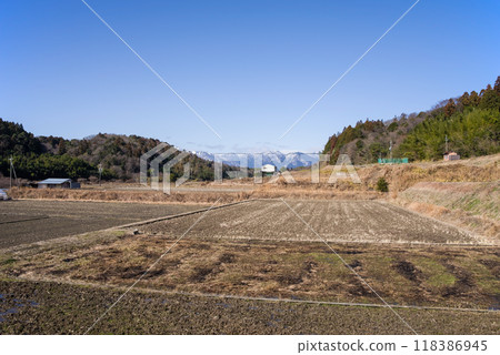 冬季稻田 冬季稻田 118386945