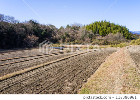 Winter rice field 118386961