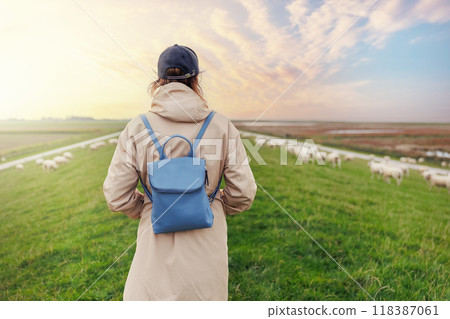 Woman walking many grazing sheep herd scene dike green field pasture meadow grassland North Wadden Sea coast East Friesland Germany warm dramatic sunset sky. Scenic german countryside landscape view 118387061