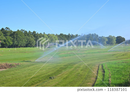 涼爽的清晨,灑水器噴水,公園高爾夫球場 涼爽的清晨,灑水器噴水,公園高爾夫球場 118387101