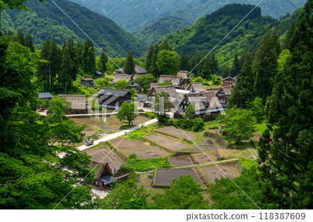 World Heritage Site: Gokayama Ainokura Village in early summer 118387609