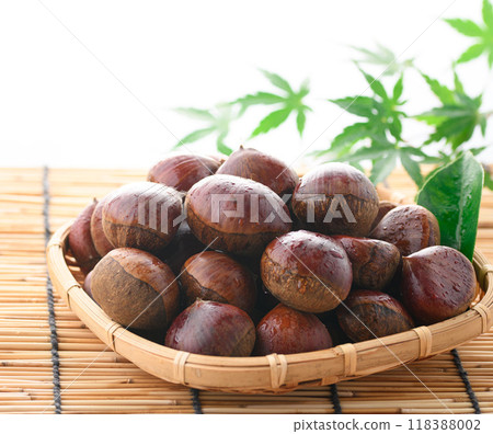 秋天的味道栗子 秋天的味道栗子 118388002