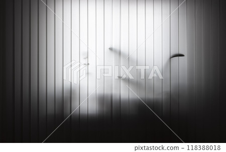 Vertical white blinds 118388018