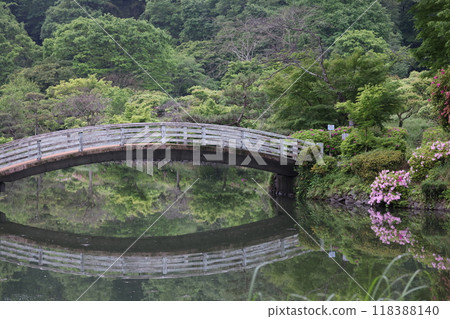 春天的日本花園，杜鵑花盛開，綠樹成蔭 118388140