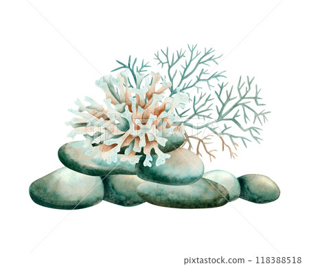 Watercolor corals growing on reef rocks illustration isolated on white. Tropical ocean or sea animal clipart in simple monochrome style. Underwater marine nature in blue green colors Watercolor corals growing on reef rocks illustration isolated on white. Tropical ocean or sea animal clipart in simple monochrome style. Underwater marine nature in blue green colors 118388518