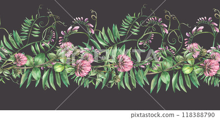 Clover sprig with pink flowers, leaves and Mouse pea climbing plant. Wildflowers seamless border, pattern. Watercolor Hand drawn illustration. Meadow field wild herbs Clipart isolated dark background  118388790