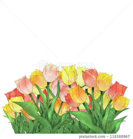 鬱金香插圖素材 118388967