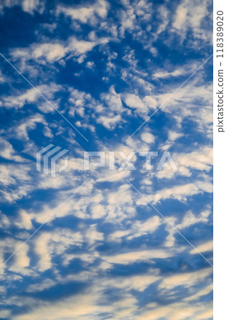 Light cirrus clouds against a light blue sky. Vertical 118389020