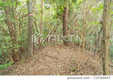 The summit of Mount Hinokura (Ikoma City, Nara Prefecture) 118389447