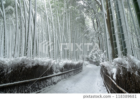Snow-covered bamboo forest path, Sagano 118389681