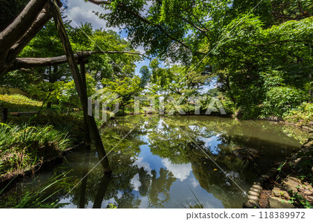 Higo Hosokawa Garden 2024 (Summer) Scenery 20 118389972