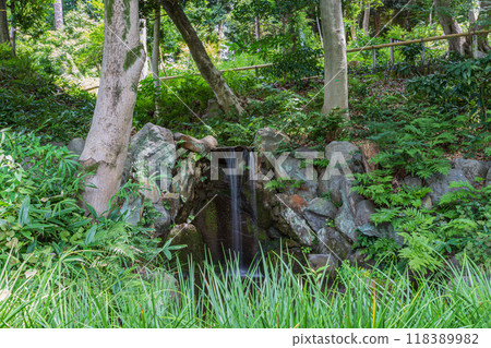 肥後細川庭園2024(夏)風景10 肥後細川庭園2024(夏)風景10 118389982