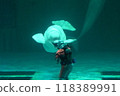 Beluga 118389991