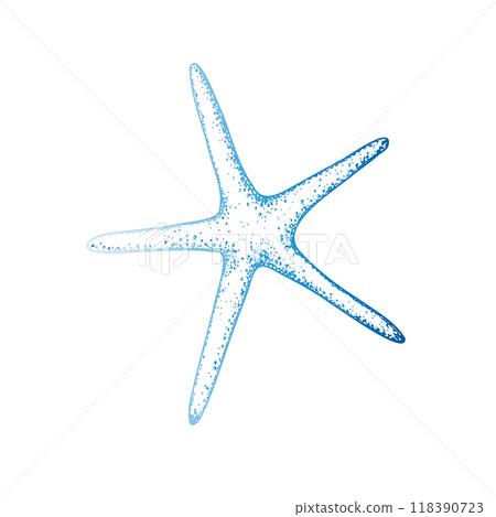 Vector starfish. Hand painted line sketch. Graphic tropical clip art isolated on background. Underwater illustration. For designers, invitations, decoration, postcards, wrapping paper, scrapbooking 118390723