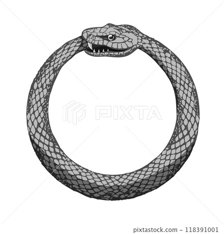 Ouroboros. Snake eats tail, mythology eternity esoteric mystic symbol abstract serpent dragon circle round ring infinity cycle spiritual magic concept ingenious vector illustration 118391001