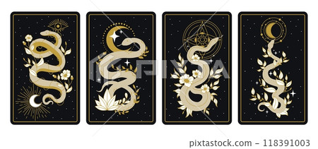 Mystical snakes cards. Magic snake bohemian tarot card, mystic serpent astrology esoteric ornament posters spiritual celestial witch elements print ingenious vector illustration 118391003