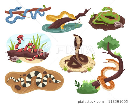 Snakes habitat. Snake on tree branch or in water wild nature, exotic reptile tropical serpent jungle danger creature anaconda python poisonous viper, ingenious vector illustration 118391005