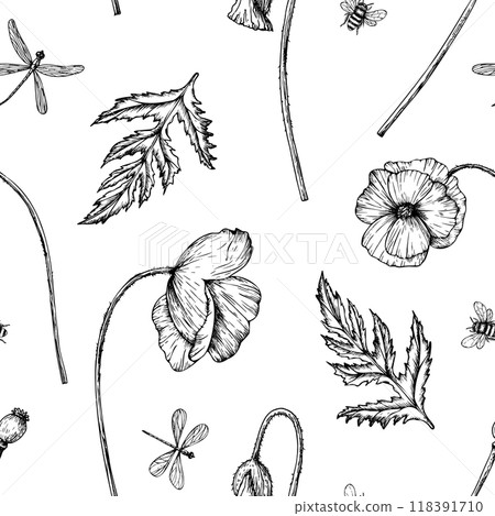 Vector seamless pattern with poppies. Hand painted linear papaver flowers. Graphic daisy isolated on background. Botanical and wedding illustration. For designers, invitations, decoration, postcards Vector seamless pattern with poppies. Hand painted linear papaver flowers. Graphic daisy isolated on background. Botanical and wedding illustration. For designers, invitations, decoration, postcards 118391710