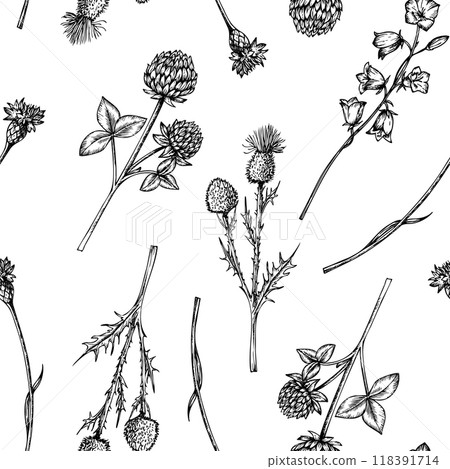 Vector seamless pattern with clover and bluebell, Burdock wildflowers. Hand painted meadow flowers. Graphic trefoil isolated on background. Botanical and wedding illustration. For designers Vector seamless pattern with clover and bluebell, Burdock wildflowers. Hand painted meadow flowers. Graphic trefoil isolated on background. Botanical and wedding illustration. For designers 118391714