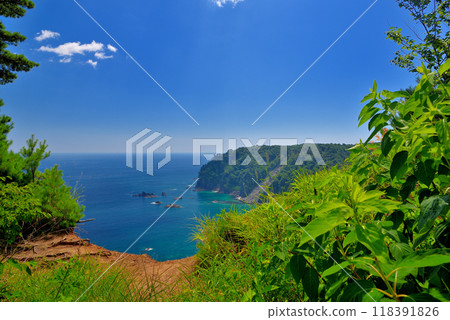 Tohoku, Unosu Cliffs, a view of Gotenzaki Observatory from a clifftop path covered with soft wood chips, Tanohata Village, Iwate Prefecture 118391826
