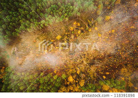 Aerial view of a logging zone cuts through forest. Top view of bush fire and smoke in deforestation zone. Wild open fire destroys grass. Nature in danger. Ecological problem air pollution. Drone view 118391898