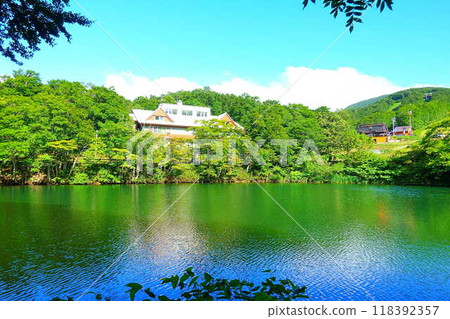 多科沼澤藏王鮮綠 118392357