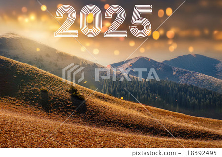 Happy New Year 2025 118392495