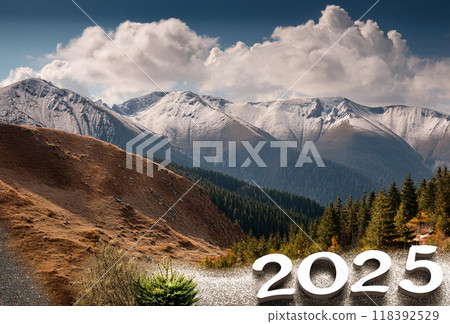 Happy New Year 2025 118392529