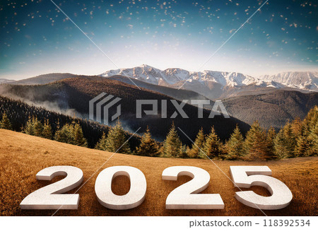 Happy New Year 2025 118392534