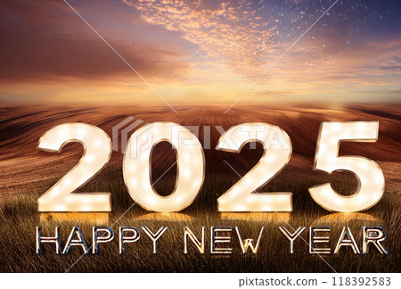 Happy New Year 2025 118392583