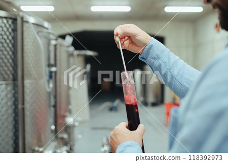 Winemaker standing in the wine cellar, controlling, testing wine sample. Winemaker standing in the wine cellar, controlling, testing wine sample. 118392973