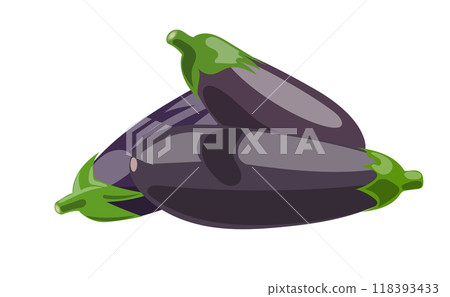 三個新鮮茄子的向量圖 118393433