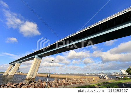 Tokyo Gate Bridge 118393467