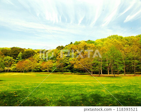 21 世紀森林與廣場景觀與春天草甸與森林 118393521