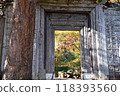 Autumn at the Kubota Itchiku Art Museum: Main gate and autumn leaves 118393560