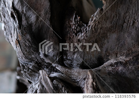rotten wooden surface rotten wooden surface 118393576