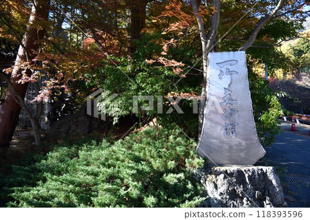 Autumn leaves near the main gate of the Itchiku Kubota Art Museum 118393596