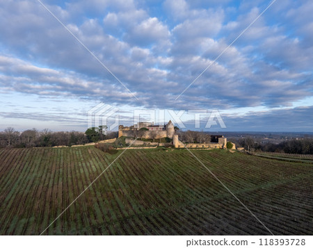 FRANCE, GIRONDE, PORTE DE BENAUGE, BENAUGE CASTLE AND ITS VINEYARDS IN WINTER, AOC CADILLAC COTES DE 118393728