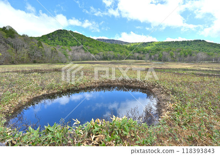 美麗的池塘和尾瀨原的平靜風景 美麗的池塘和尾瀨原的平靜風景 118393843