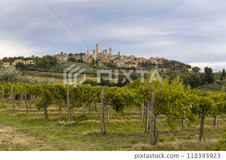 San Gimignano, UNESCO site, Tuscany, Italy San Gimignano, UNESCO site, Tuscany, Italy 118393923